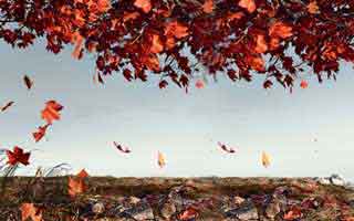 我只是点开开云网页页面，手机就出现异常提示，别急 反转来了：4个快速避坑