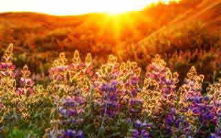 劝你冷静三秒：澳门足球賠率这类内容背后常见假客服施压：这不是危言耸听