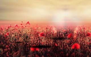 劝你冷静三秒：十二生肖这类内容背后常见虚假中奖：这比你想的更重要